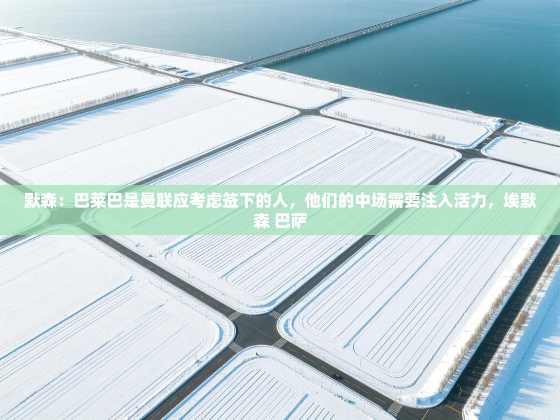 海星体育下载-默森:巴莱巴是曼联应考虑签下的人,他们的中场需要注入活力,埃默森 巴萨 第4张