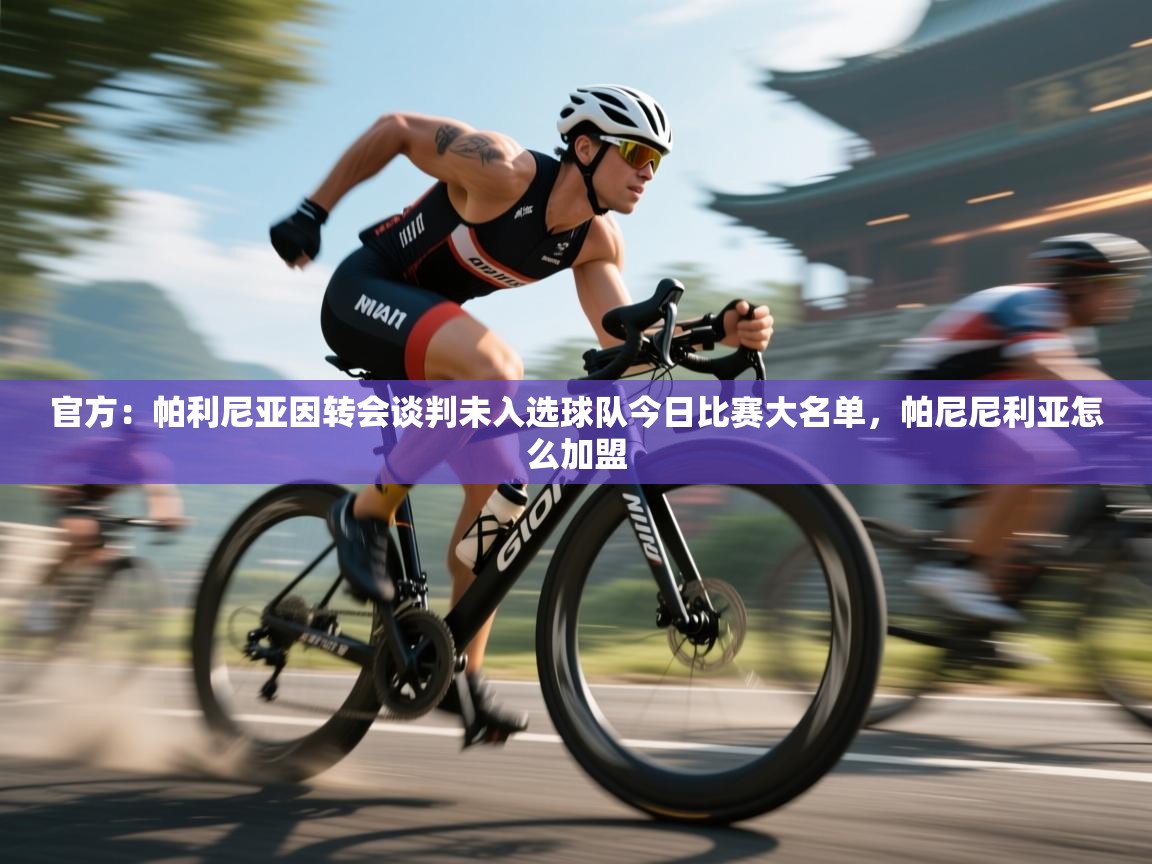 海星体育直播-官方:帕利尼亚因转会谈判未入选球队今日比赛大名单,帕尼尼利亚怎么加盟 第1张