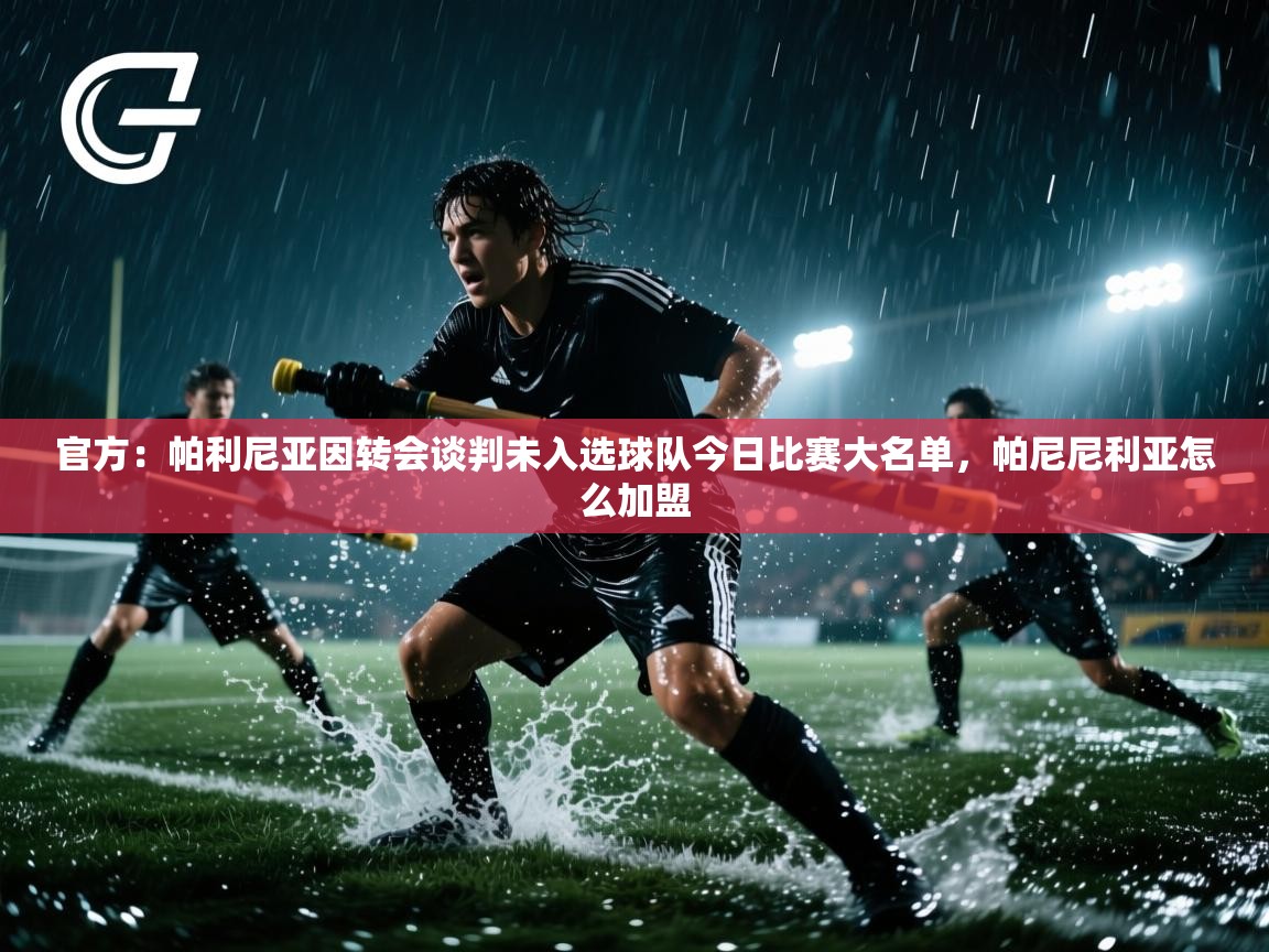 海星体育直播-官方:帕利尼亚因转会谈判未入选球队今日比赛大名单,帕尼尼利亚怎么加盟 第2张