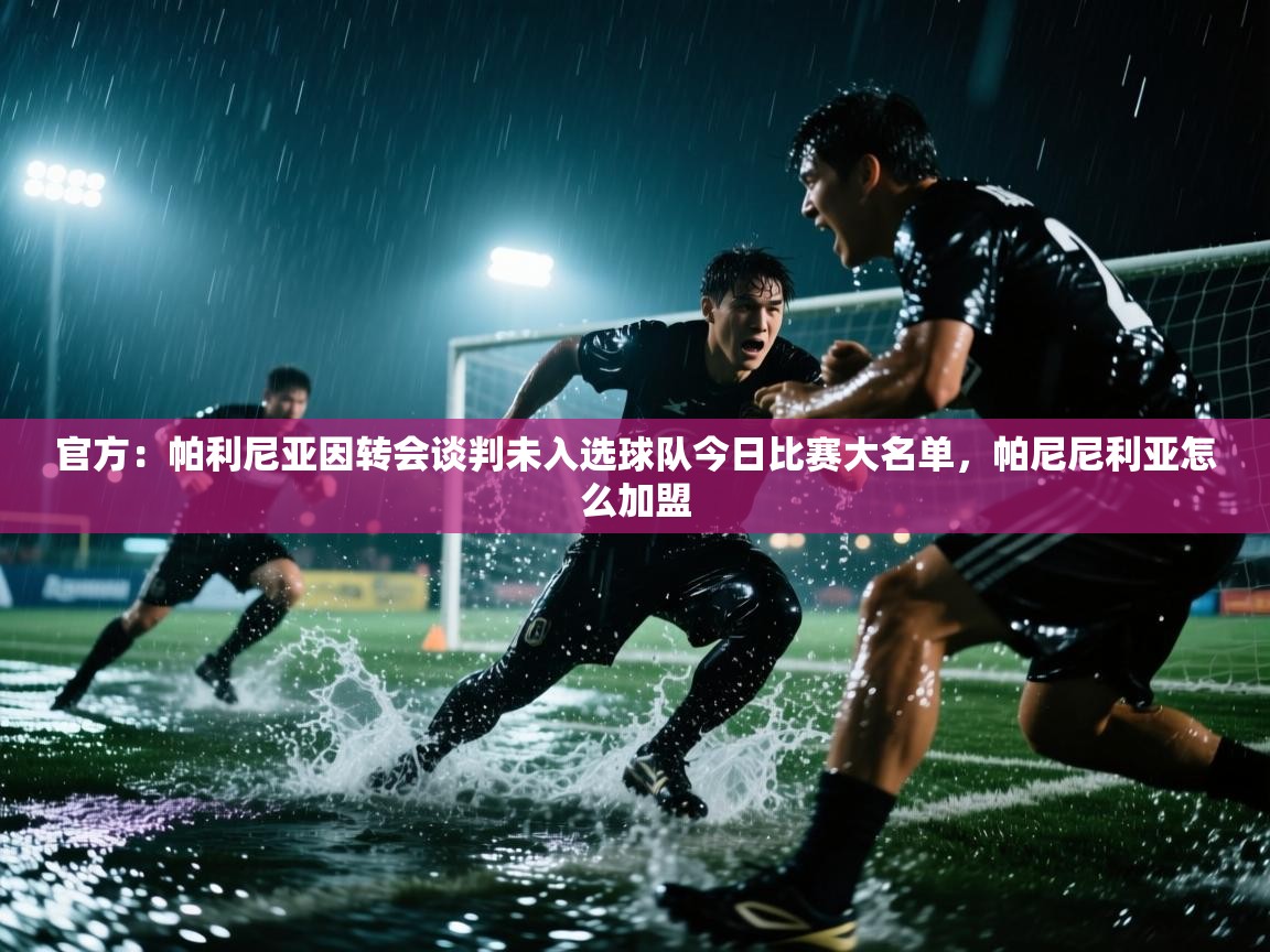 海星体育直播-官方:帕利尼亚因转会谈判未入选球队今日比赛大名单,帕尼尼利亚怎么加盟 第3张