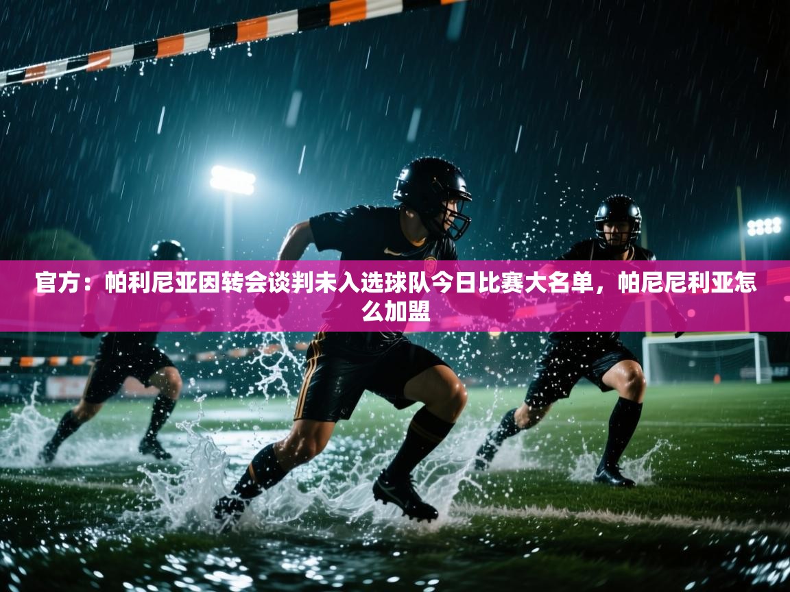 海星体育直播-官方:帕利尼亚因转会谈判未入选球队今日比赛大名单,帕尼尼利亚怎么加盟 第4张