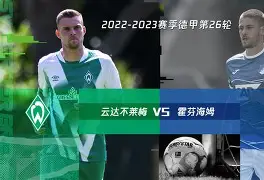 霍芬海姆队员展示与小球迷的互动视频的简单介绍