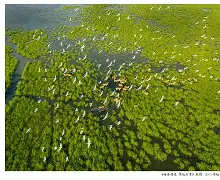 黄海逆转劲旅海湾，成功止步颓底